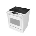 GE Profile 30" Electric Slide-in True European Convection Range White